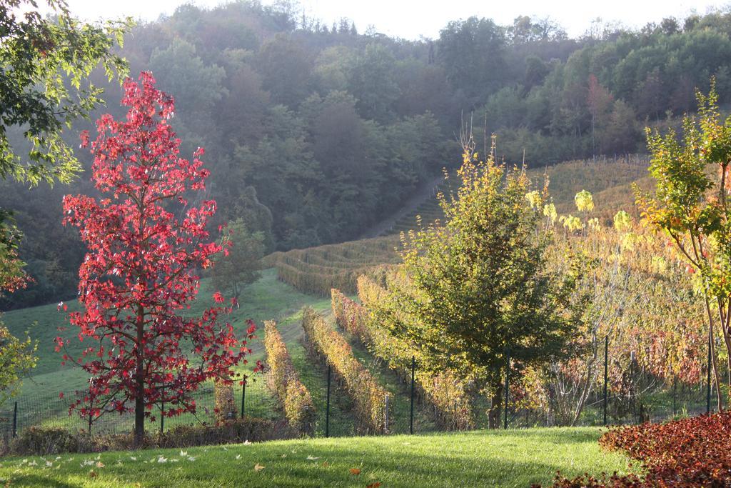 B&B Bricco Fiore Briaglia Exteriér fotografie